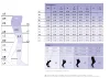 Compression Stockings SIGVARIS Specialities Ulcer X Kit