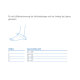 Sprunggelenkbandage ofa Dynamics Plus Knöchelbandage