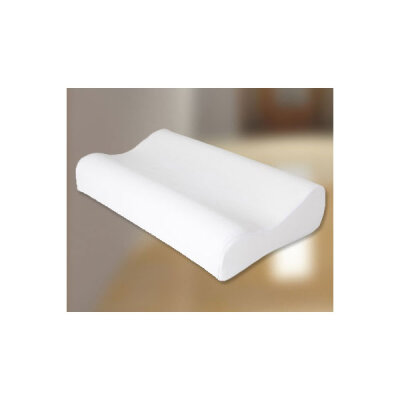 Schiebler Health Pillow