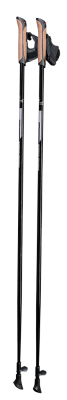 Gastrock walking stick Nordic Walking Carbon
