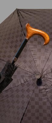 Gastrock Walking stick Umbrella Kompassrose