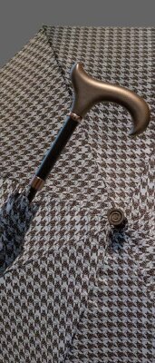 Gastrock Walking stick Umbrella Bird