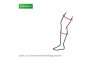 L+R Knieorthese Cellacare Genucast 0° Classic