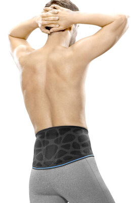 Back support ofa Dynamics Plus lumbar support